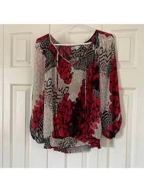 Cleo sheer blouse size S🔥🔥